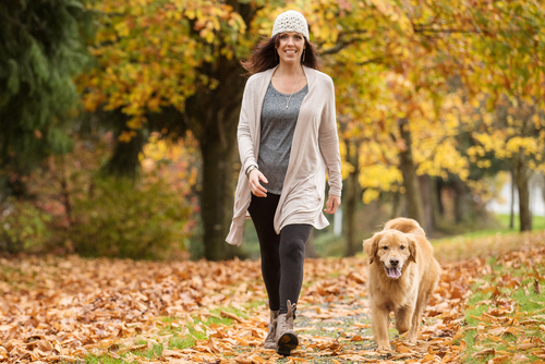 Prevent Accidents By Walking Your Dog!
