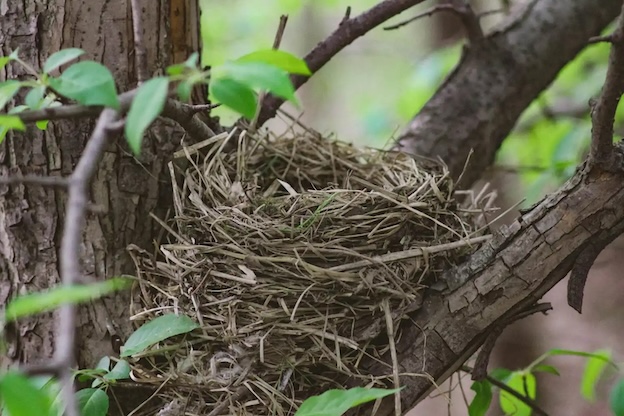 Right Before Your Empty Nest
