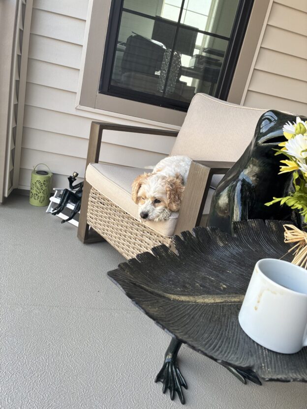 Mindless Rest vs Joyful Rest: Why the Difference Matters